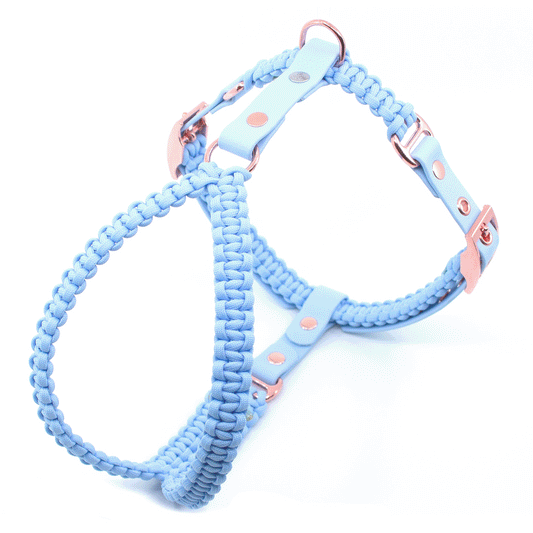 ROSÉGOLD - Doppelstegschnalle 20mm