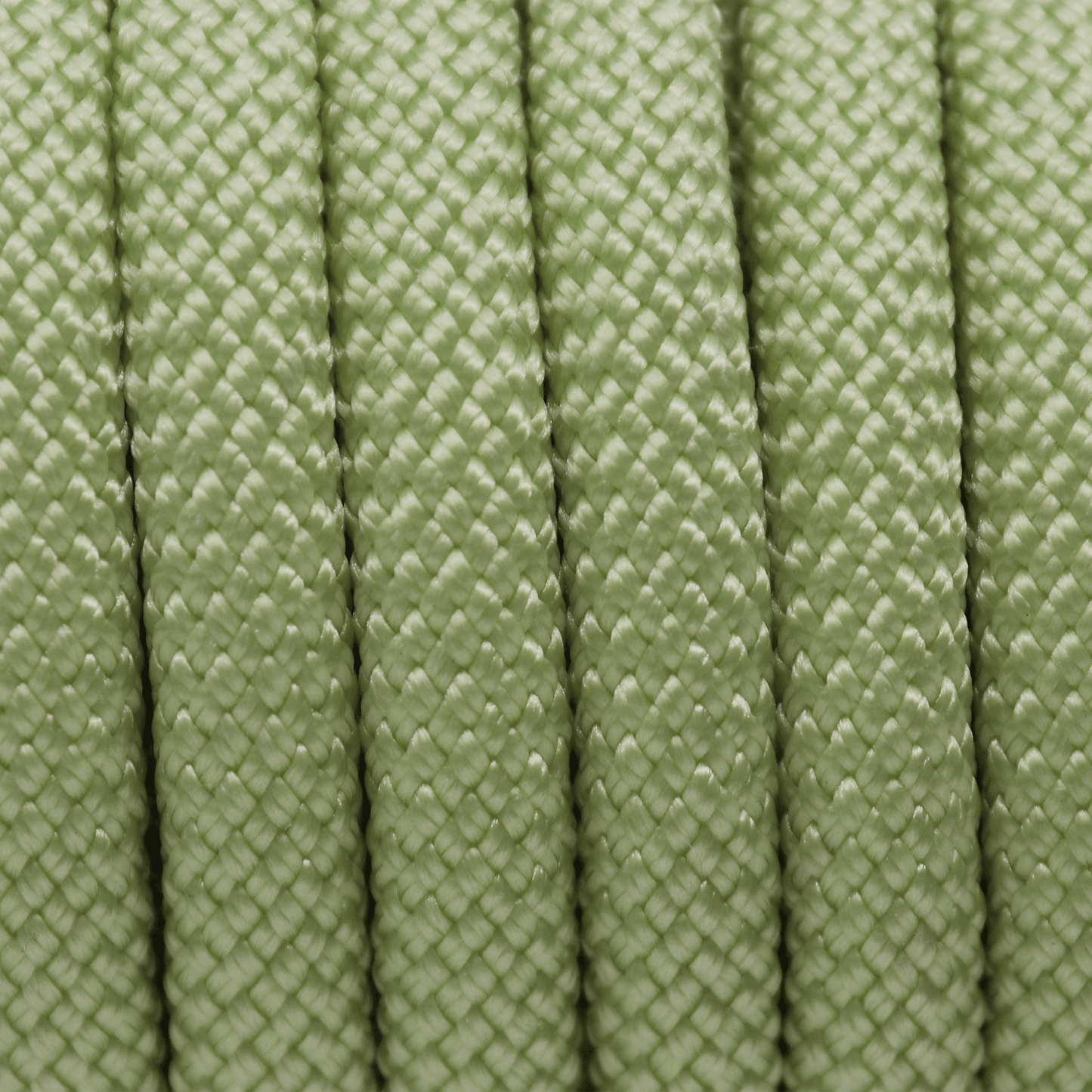 HOLY GUACAMOLE - Nylon Premium Hundeleinen Seil Meterware rund - 10mm