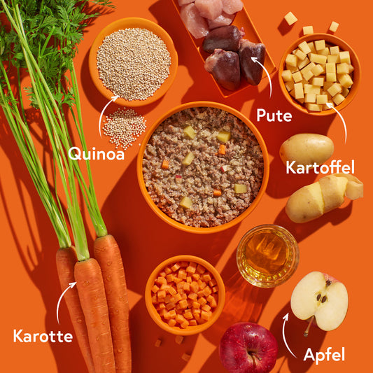 Pute mit Kartoffeln