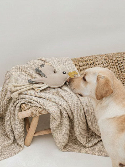 BUDDY. Hundespielzeug aus Leder "Möwe"