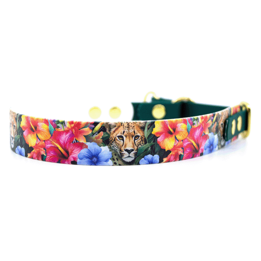 BioThane® Zugstopp Halsband HIBISCUS HUNTER