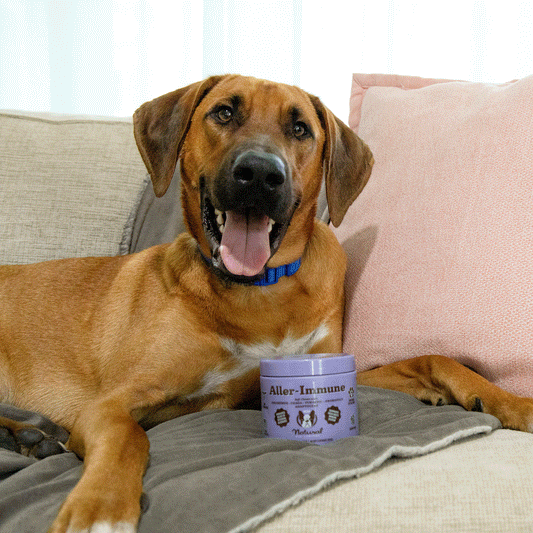 Aller Immune Supplement 270g - ***MHD 10/25