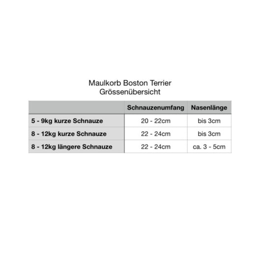Maulkorb Boston Terrier
