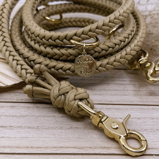 Individuelle Paracord Hundeleine KAIRO