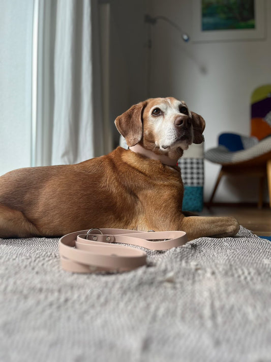 Biothane® Führleine