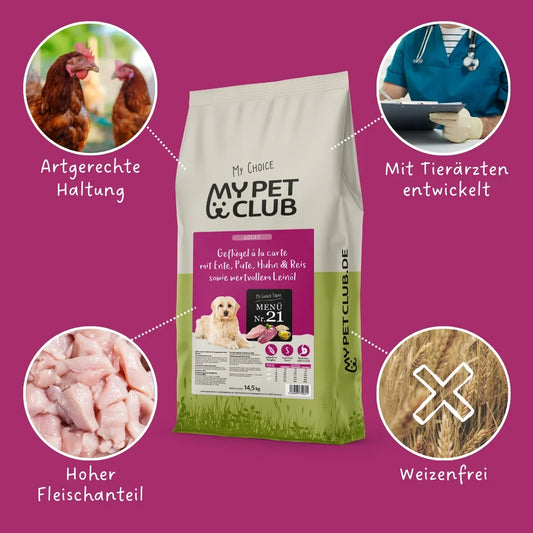 MyPetClub Balance
