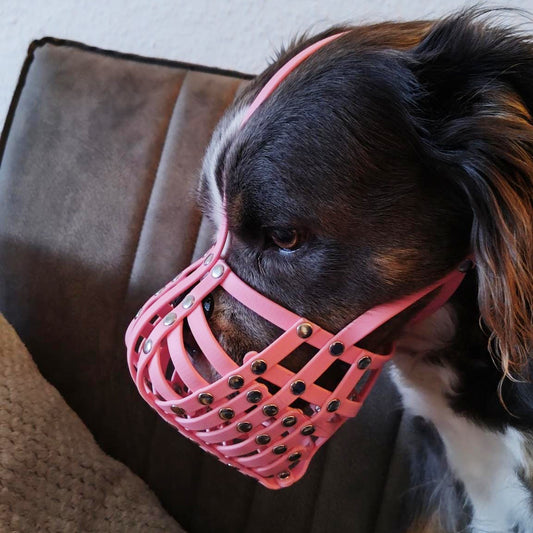 Maulkorb aus BioThane für Mischling