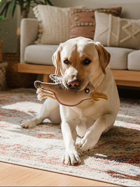 BUDDY. Hundespielzeug aus Leder "Möwe"