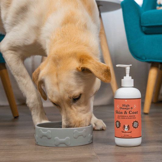 Skin & Coat Oil 473ml