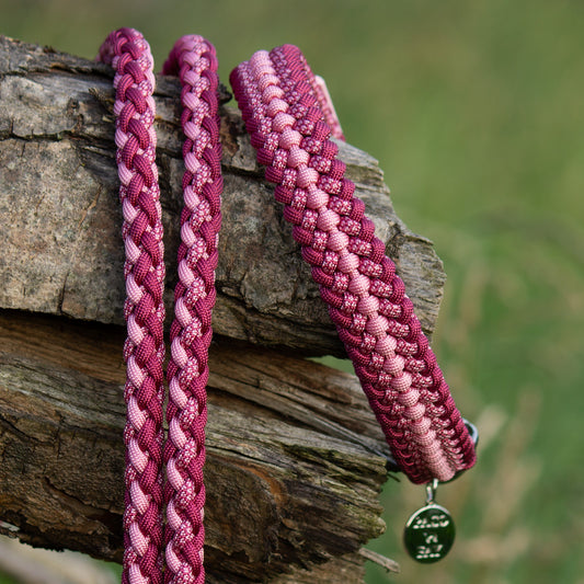Set Halsband & Leine aus Paracord & BioThane® – HU 39–45 cm