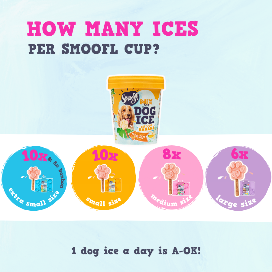 Mix für Hundeeis BANANE