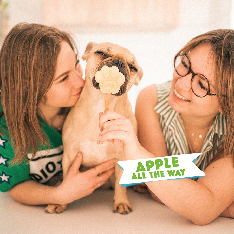 Mix für Hundeeis APFEL