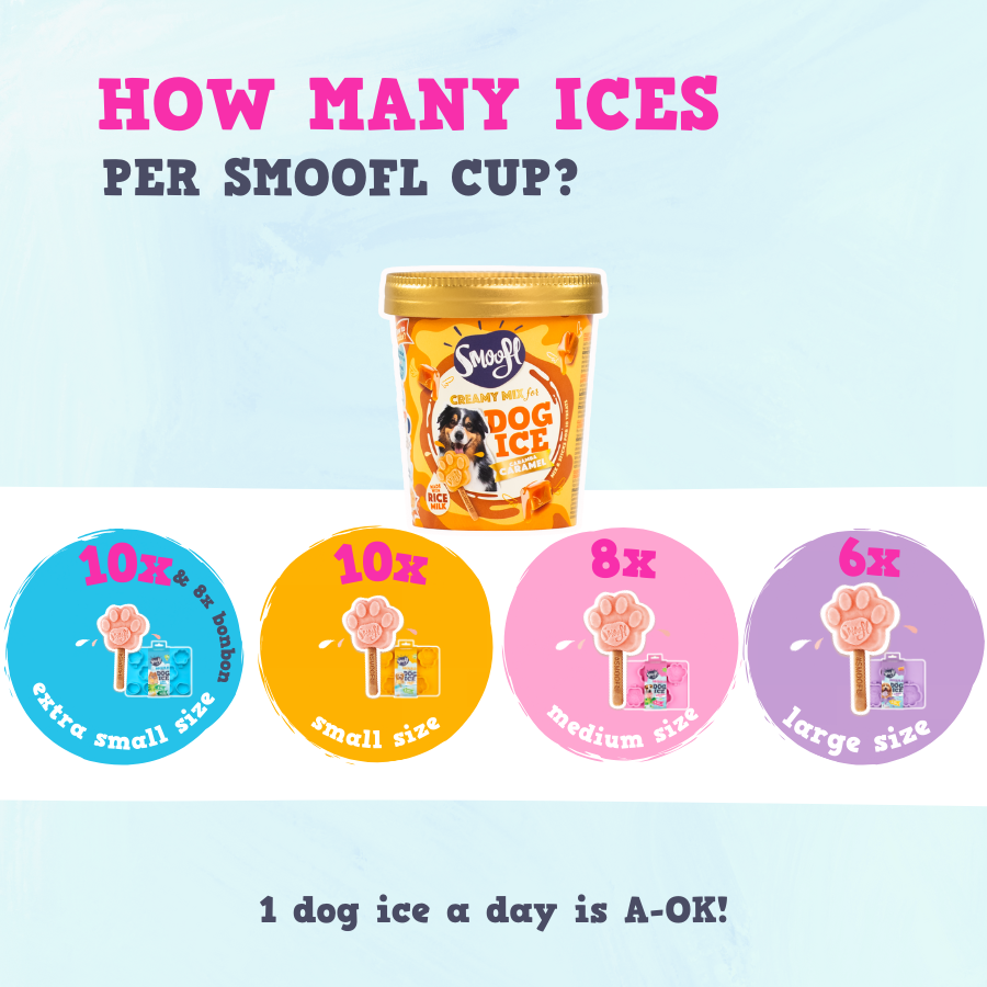 Mix für Hundeeis CREAMY CARAMEL
