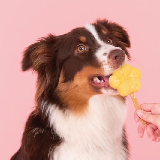 SMOOFL Ice Mould - Size M