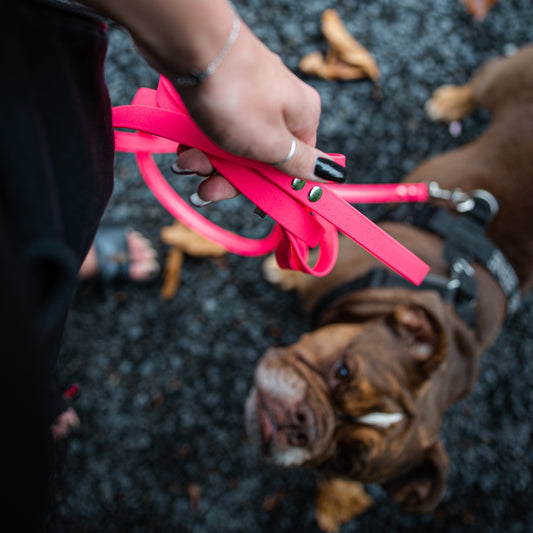 Biothane Schleppleine