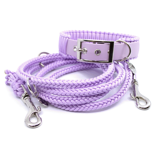 Set Halsband & Leine (HU 38-44cm)