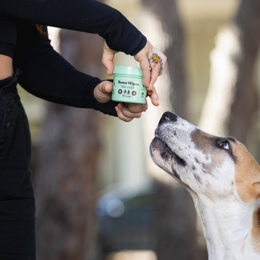 Snout Wipes