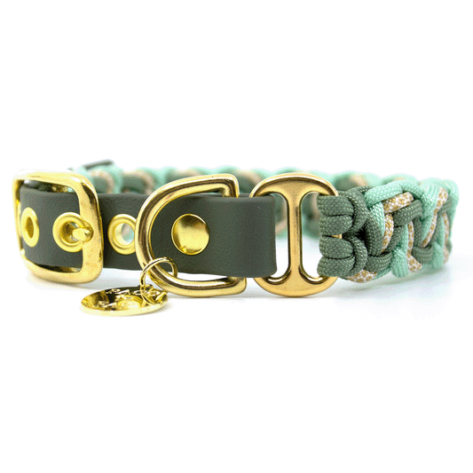 Paracord Hundehalsband in Grüntönen