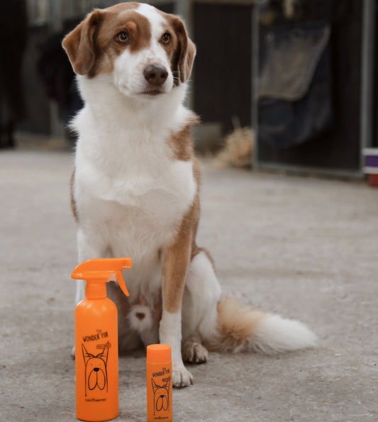 Carementino Wonder Fur Entwirrungsspray
