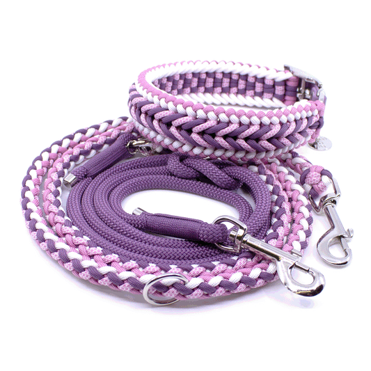 Halsband und Leine in lila und rosa
