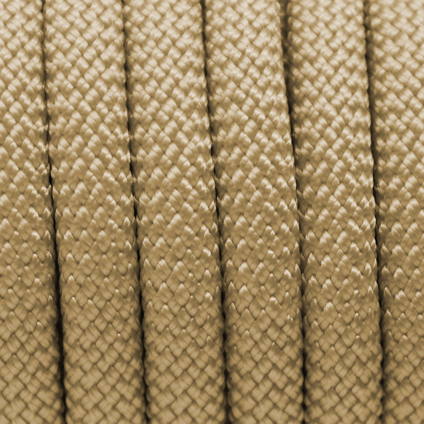 Hundeleine Seil 10mm Nylon GOLD