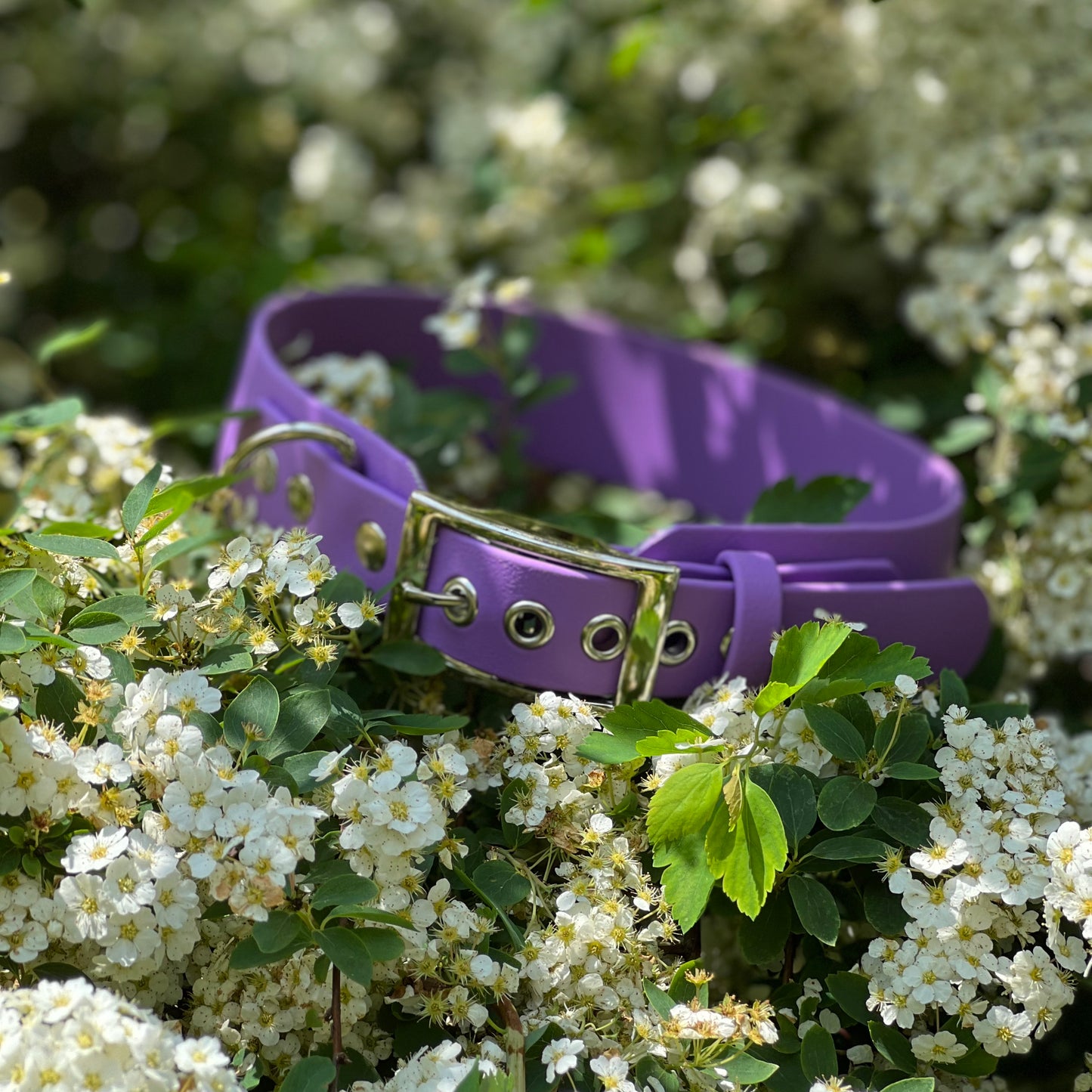 Biothane® breites verstellbares Halsband