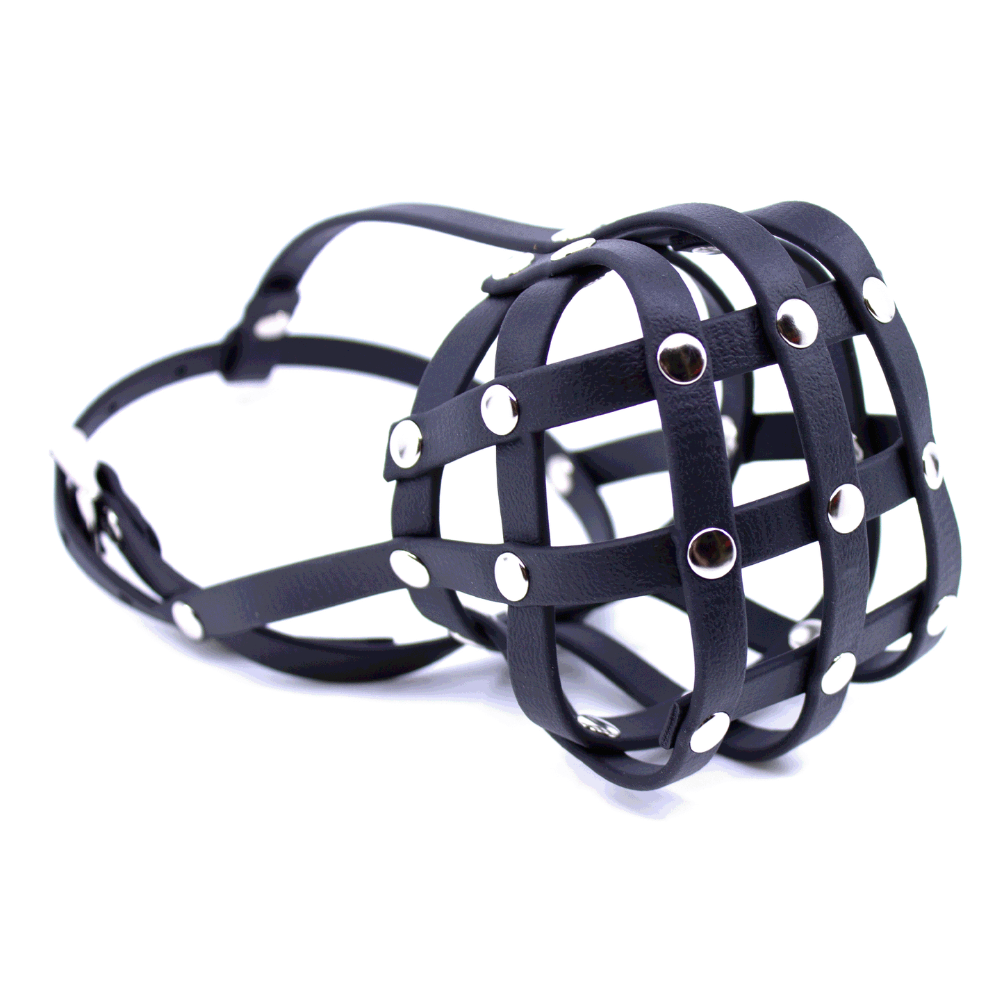 Maulkorb aus BioThane für Boston Terrier