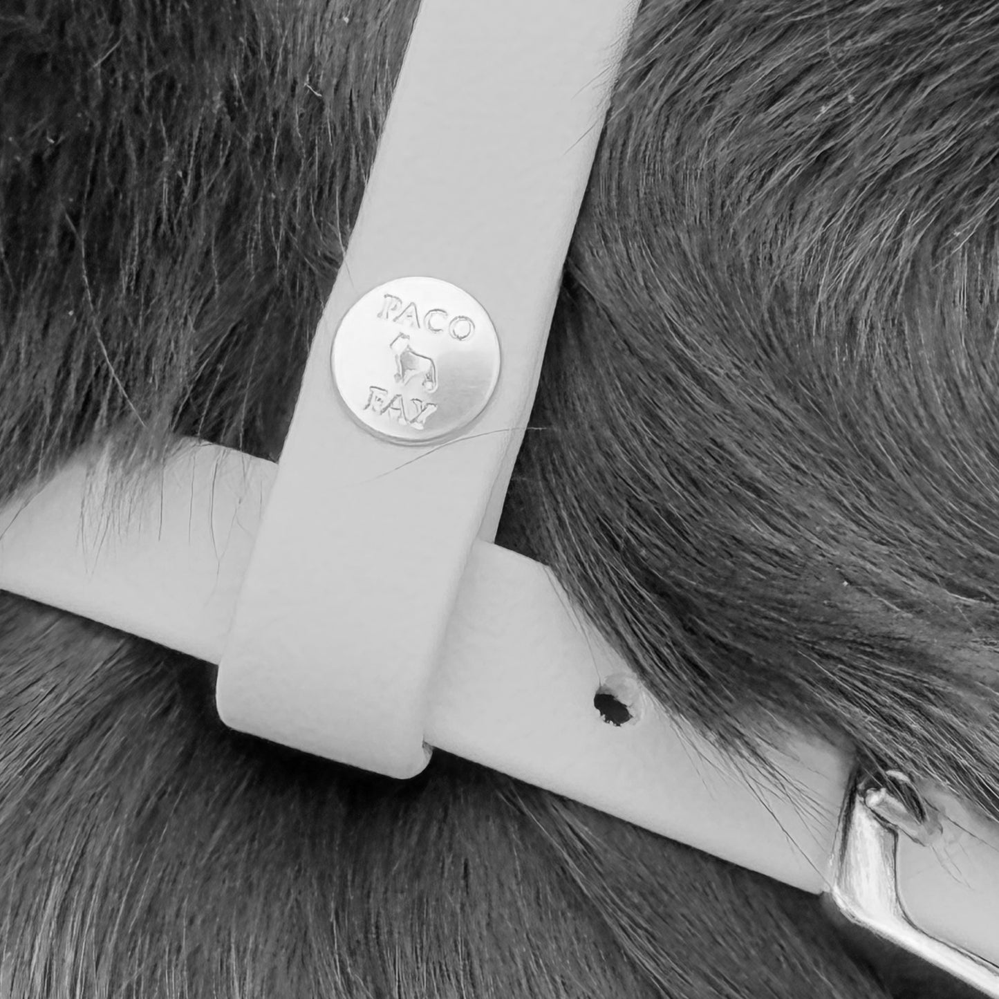 Original PACO & FAY Maulkorb aus BioThane®