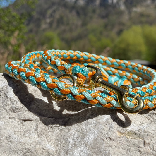 Paracord Hundeleine GAUCHO von PACOandFAY