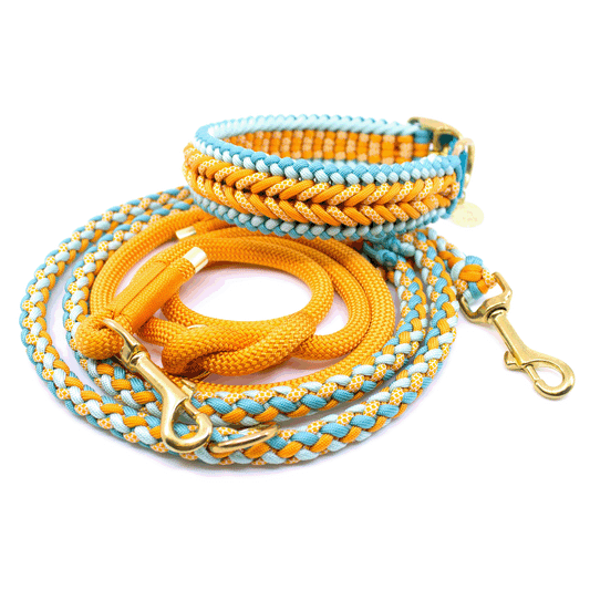 Halsband und Leine im Set gefertigt aus Paracord und Tau