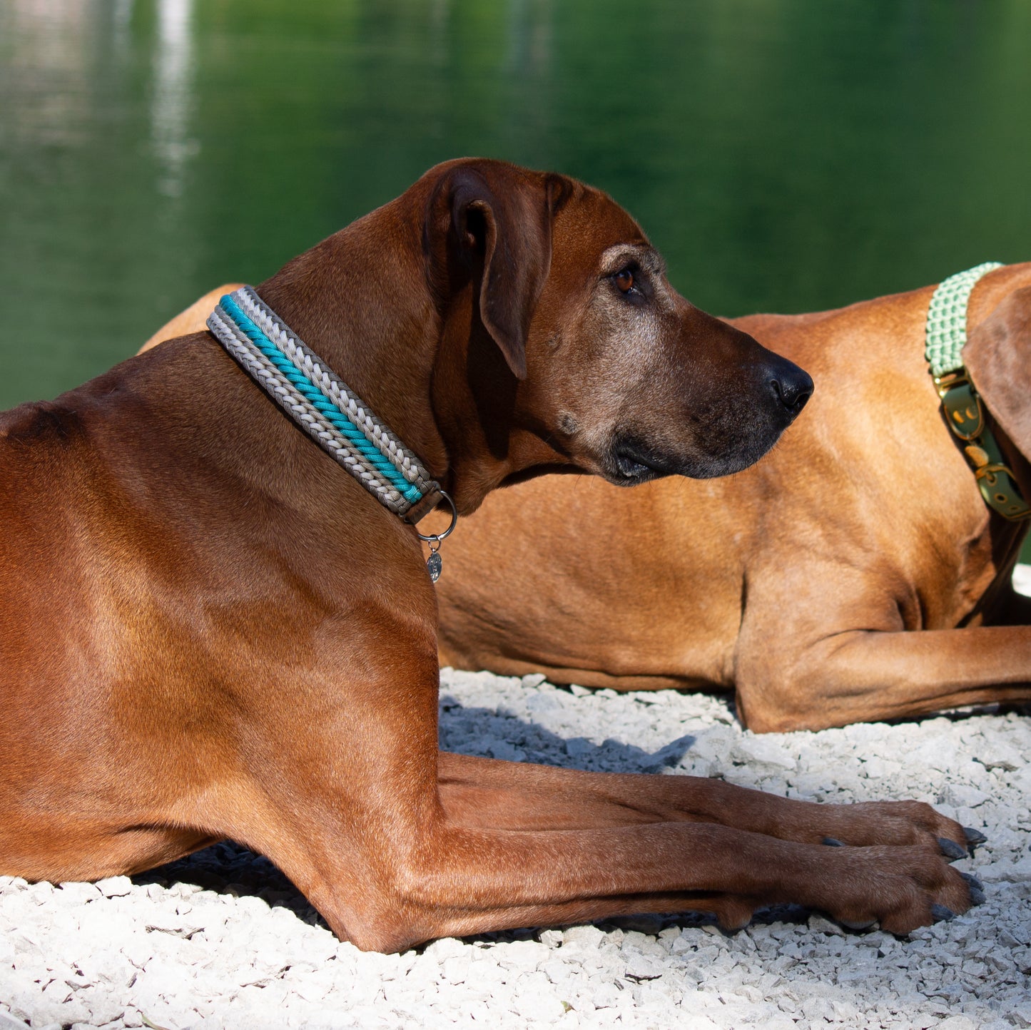 PACO & FAY Paracord Halsband BEACH