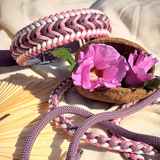 Halsband und Leine aus Paracord in lila und rosa von PACOandFAY