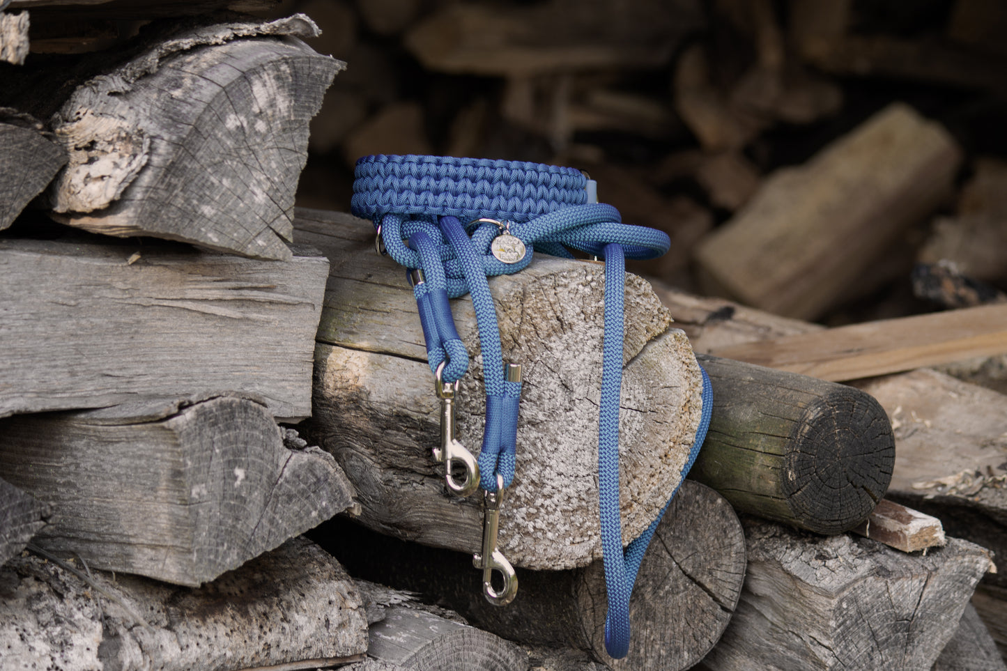 Set Halsband & Leine (HU 38-44cm)