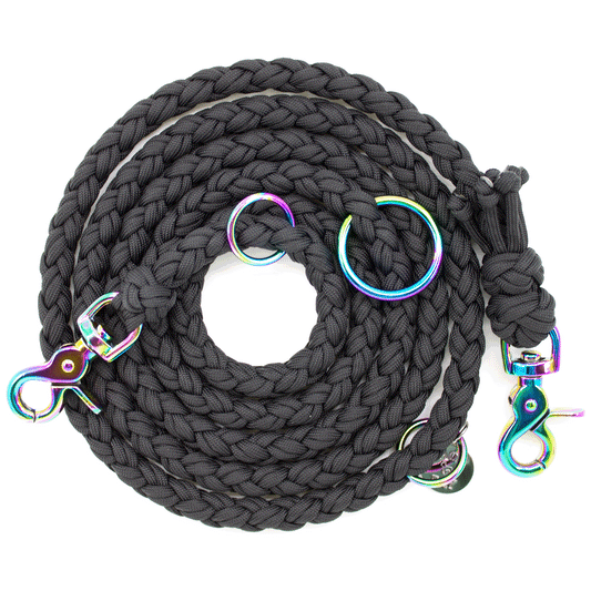 Paracord Hundeleine in schwarz mit rainbow Beschlägen
