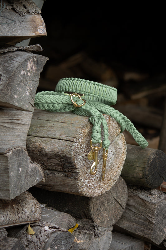 Set Halsband & Leine (HU 39-45cm)