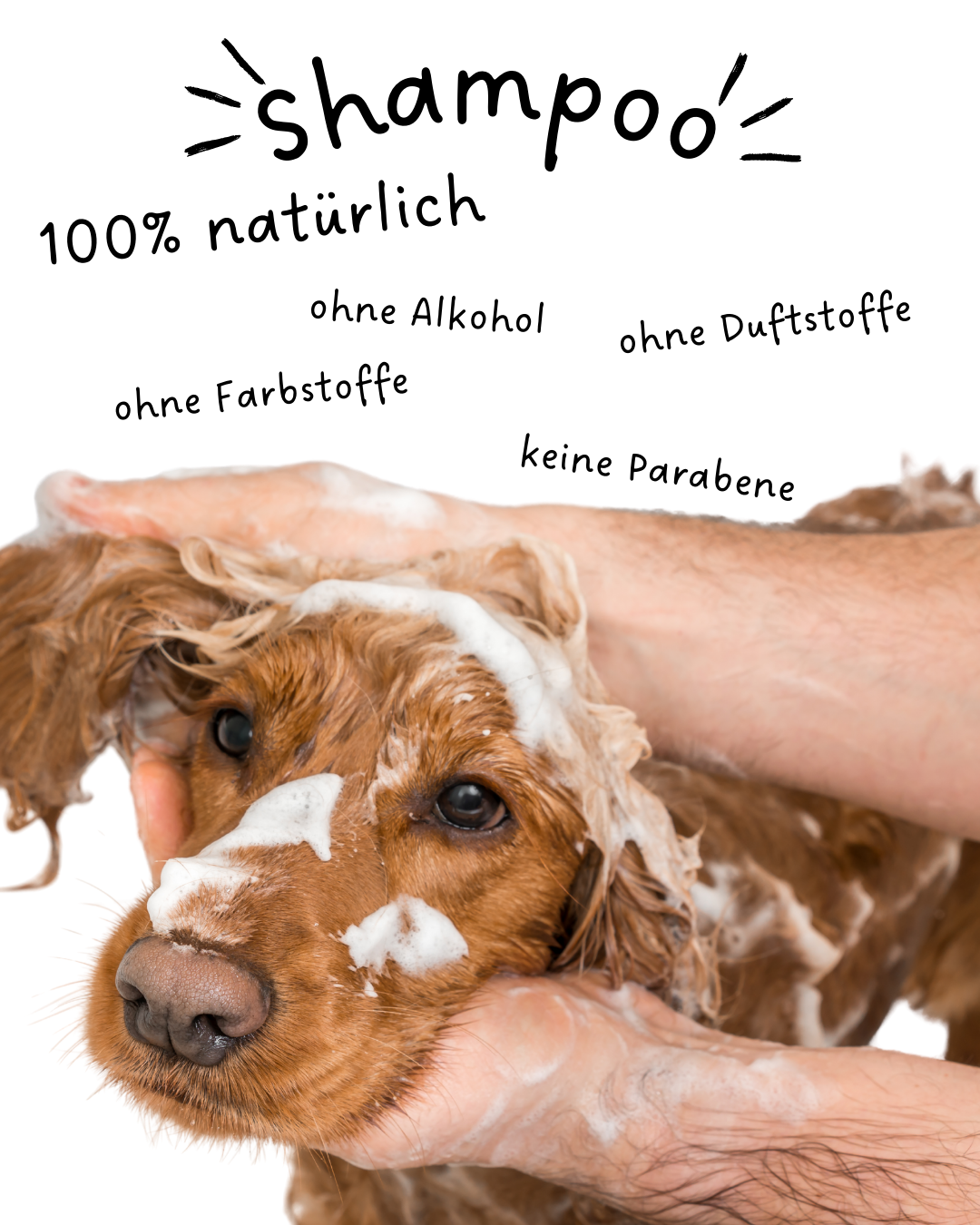Riolino Shiny Fur Shampoo für Hunde 250ml
