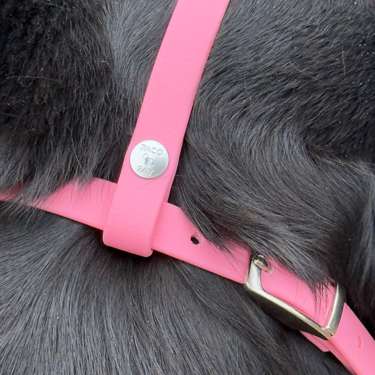 BioThane Maulkorb für Rottweiler Nahaufnahme