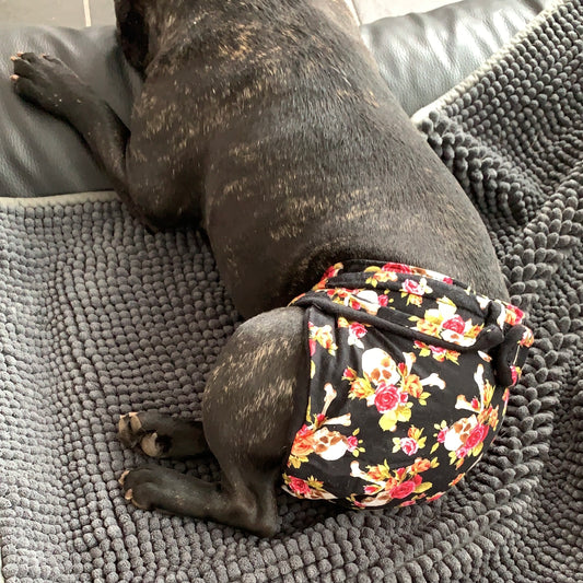 Läufigkeitshöschen nach Maß