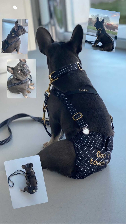 Hosenträger nach Maß für Läufigkeitshöschen