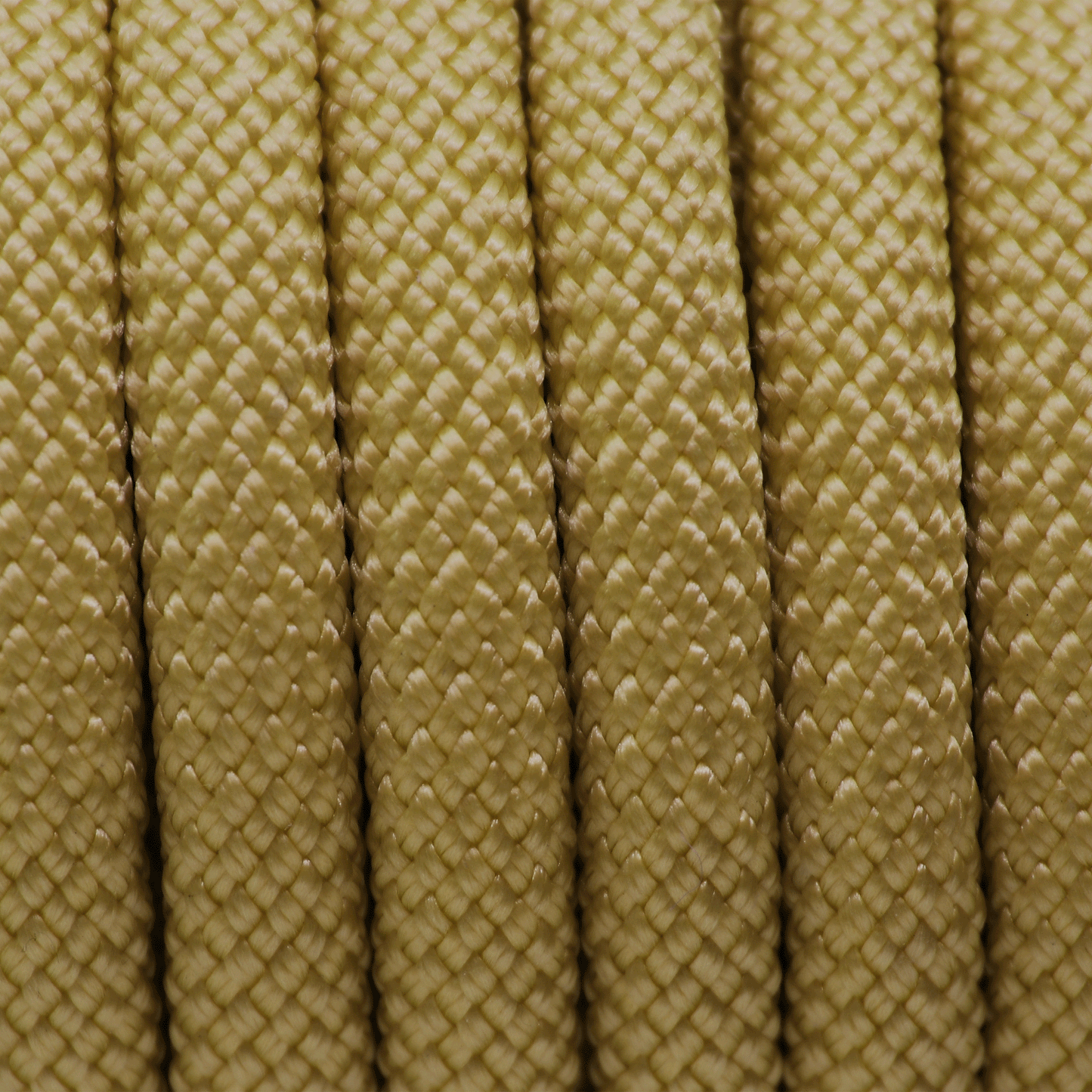 PPM Premium Meterware rund - 10mm, Farbe GOLDEN TREASURE OF EGYPT