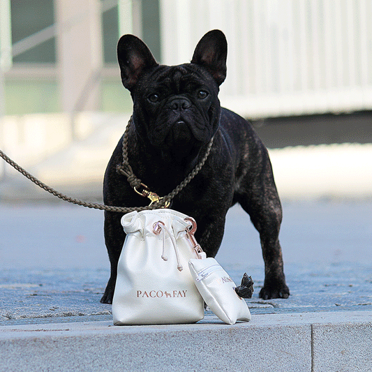 Leckerli-Beutel "DARLING"