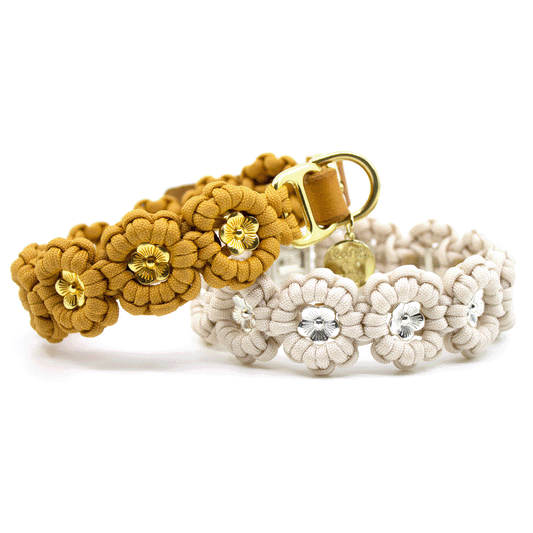 Paracord Halsband im Blumenmuster, Flower Power Halsband, Hundehalsband