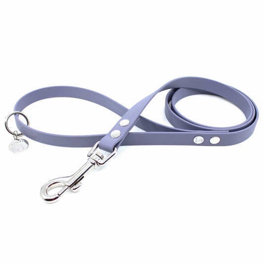 SILBER - Bolzenkarabiner 76 x 17mm