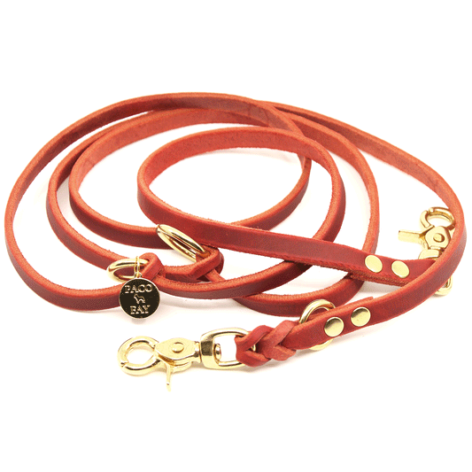 Fettleder Leine "VERONICA" ca. 2m