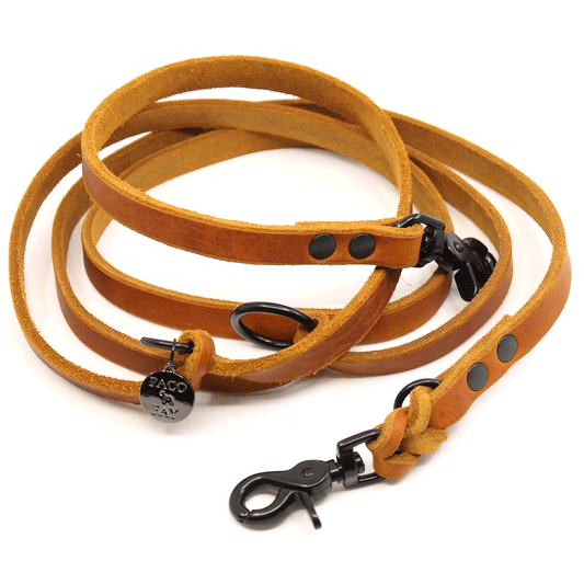 Fettleder Leine "FINLEY" ca. 2m