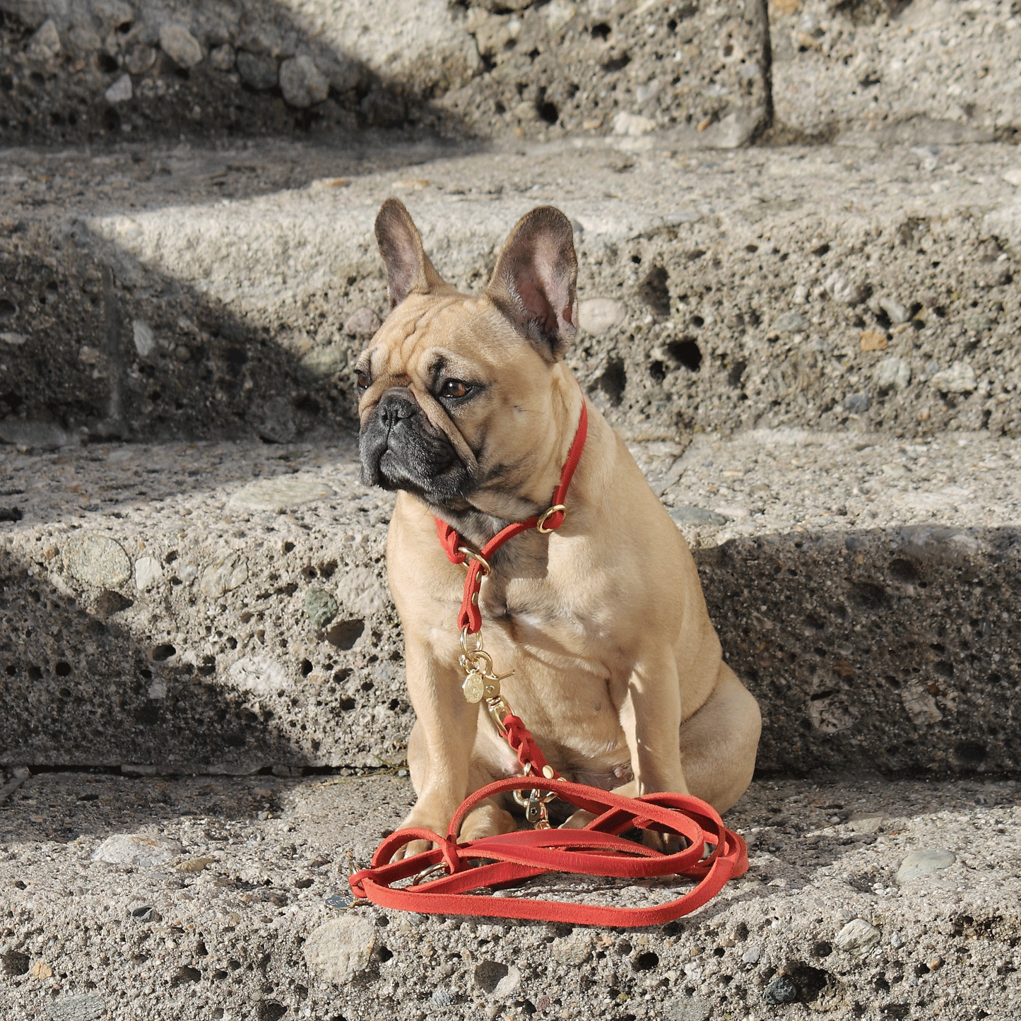 Fettleder Leine "VERONICA" ca. 2m