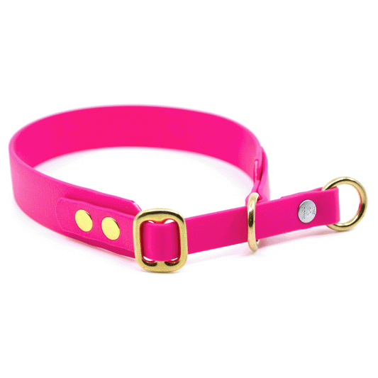 Biothane® Zugstopp Halsband