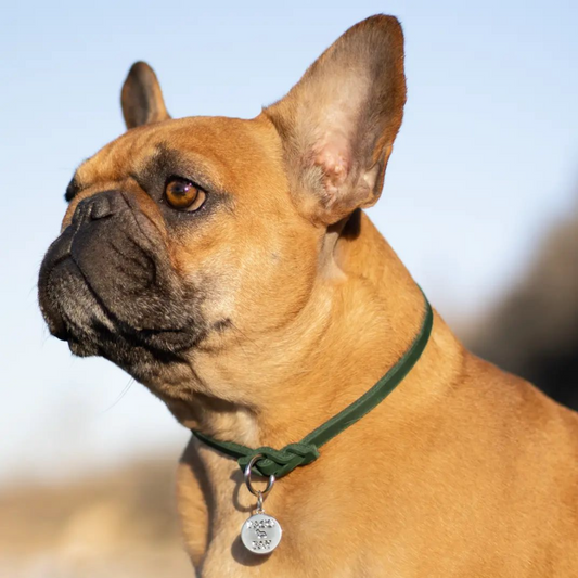 PACO & FAY, pacoandfay, paco fay, paco and fay, Markenband