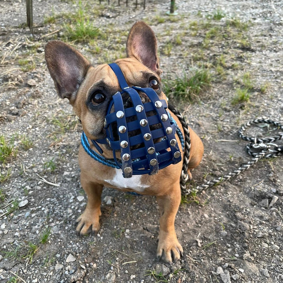 Maulkorb Französische Bulldogge Kopfmaulkorb, kurze Schnauze, Frenchie, Plattnase 6-9kg längere Schnauze mit Xtra Schutz