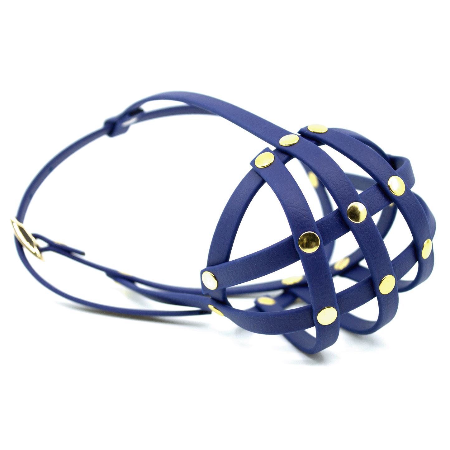 Maulkorb Frenchie in navy blue und gold